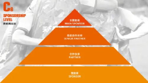 山東泰山開放冠名權招商，開啟品牌合作新篇章